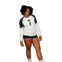 Volleyball Sticker by WVU Tech Golden Bears