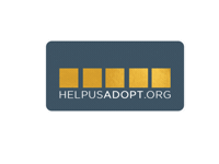Nyc Adoption Sticker by Helpusadopt