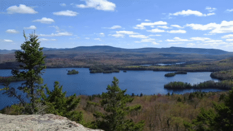 clean water GIF by Adirondack Council