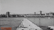 nyc brooklyn GIF