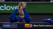 Happy Major League Baseball GIF by New York Mets