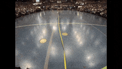 Doxie Goags GIF by UC Davis