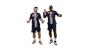 Ehf Champions League Fun Sticker by Paris Saint-Germain Handball