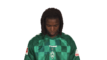 Look Up Werder Bremen Sticker by Bundesliga
