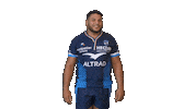 Celebration Yes Sticker by Montpellier Hérault Rugby