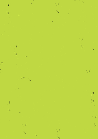 BIG_FAT_RAVE giphyupload dance music rave GIF