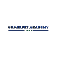 Academica Schools Sticker by Academica