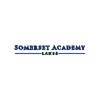 Academica Schools Sticker by Academica