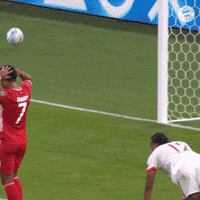 Football Reaction GIF by FC Bayern Munich