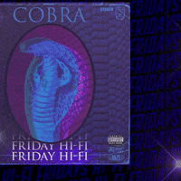Party Friday GIF by Cobra