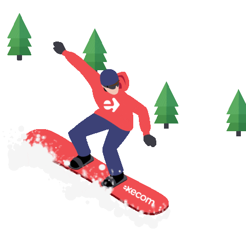 Snow Winter Sticker by Execom