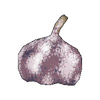 Garlic Evoo Sticker by Evoolution