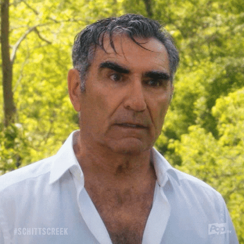 Pop Tv GIF by Schitt's Creek