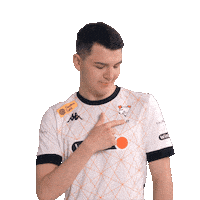 Counter-Strike Bears Sticker by Virtus.pro