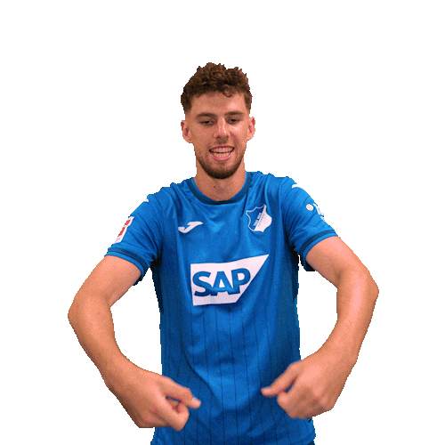 Sport Bundesliga Sticker by TSG Hoffenheim