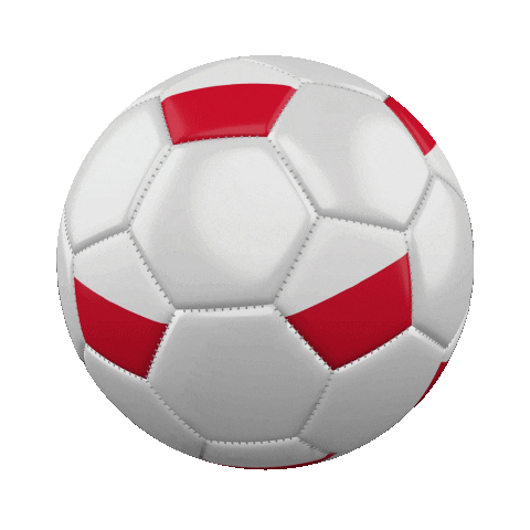 Ball Pilka Sticker by Laczynaspilka