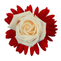 Flower Sticker by LAZY MOM