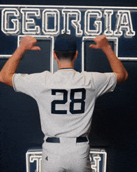 Georgia Tech Baseball GIF by Georgia Tech Yellow Jackets