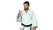 Fight Swipe Up Sticker by Czech judo