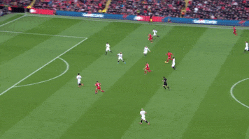lfc watford GIF by Liverpool FC