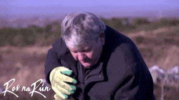 Heart Pain GIF by Ros na Rún