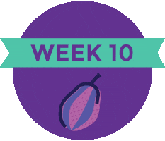 Pregnancy Baby Size Sticker by What to Expect