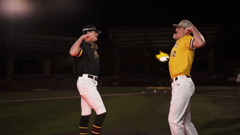 College Baseball GIF by Pearl River Athletics