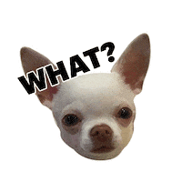 So What Wtf Sticker by Zinaida Kazantseva