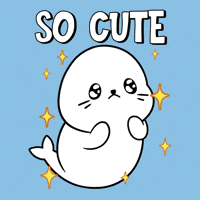 Cutie Wow GIF by Sappy Seals