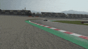 redbullracing car racing race 2019 GIF