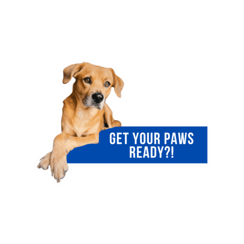 Get Ready Dog Sticker by Humane Society of Broward County