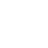 Star Sticker