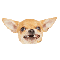 lykapetfood dog healthy pet natural Sticker