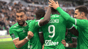 Football Sport GIF by AS Saint-Étienne