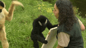 GIF by madmoiZelle