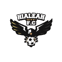 Sport Soccer Sticker by Hialeah City FC