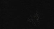 sam raimi toomanygifs maybe idkw/e GIF by Maudit