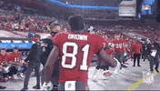 Regular Season Football GIF by NFL
