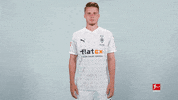 No Idea What GIF by Bundesliga