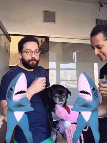 nyframe GIF by GIPHY Frame