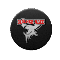 Goal Hockey Sticker by Koelner Haie