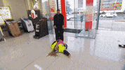 Renovate Channel 9 GIF by The Block