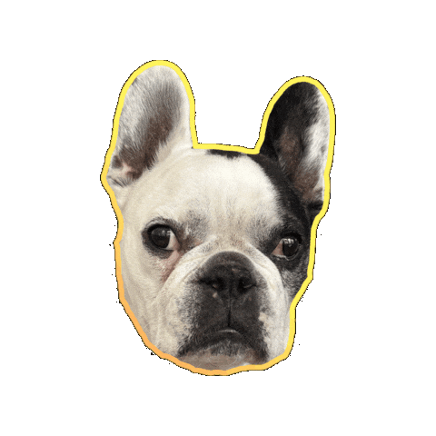 French Bulldog Love Sticker by Kim Alvarez-Cazzetto (kimac)