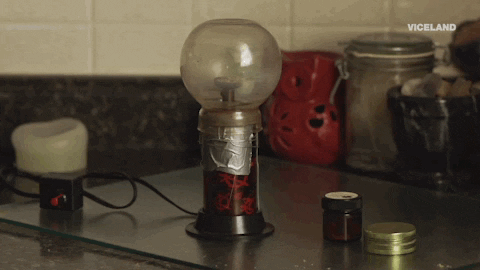 viceland GIF by WEEDIQUETTE
