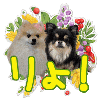 Yep Get It Sticker