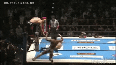 wut? wtf GIF