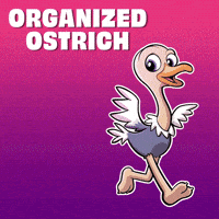 Organize Ready To Go GIF by VeeFriends