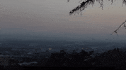 youtube love GIF by SoulPancake