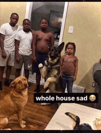 Sad House GIF