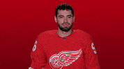 Red Wings Sport GIF by Detroit Red Wings